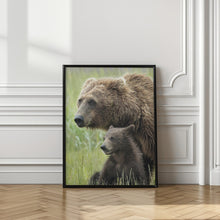 Art Prints of Momma Bear and Cub Portrait