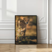 Art Prints of Camuflage