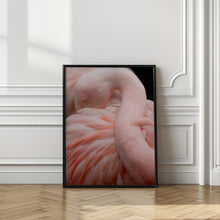 Canvas Art Print Portrait of a Pink Flamingo