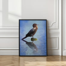 Canvas Art Print River Bigua