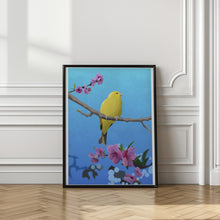 Canvas Art Print Goldfinch