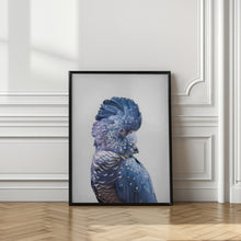 Canvas Art Print Black Cockatoo