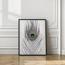 Canvas Art Print Peacock Feather