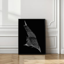 Canvas Art Print The Dive