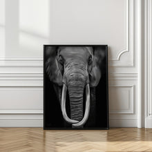 Canvas Art Print Loxodonta