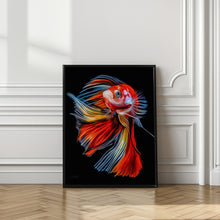 Canvas Art Print Colorful Fish