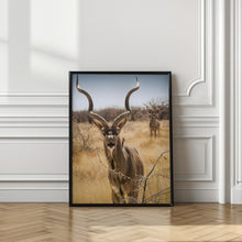 Canvas Art Print Savannah surprises