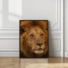 Canvas Art Print The King