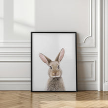 Canvas Art Print Baby Rabbit