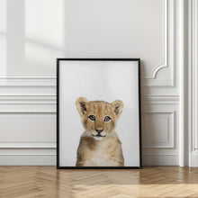 Canvas Art Print Baby Lion