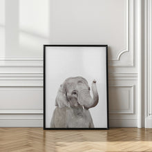 Canvas Art Print Baby Elephant