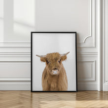 Canvas Art Print Baby Cow