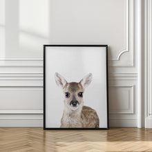 Canvas Art Print Baby Deer