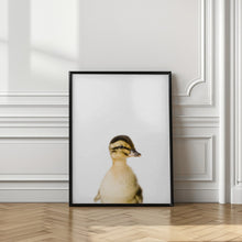 Canvas Art Print Baby Duck