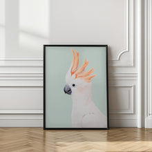 Canvas Art Print Cockatoo