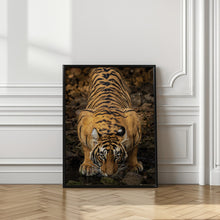 Canvas Art Print Direct to the eyes