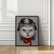 Canvas Art Print pirate