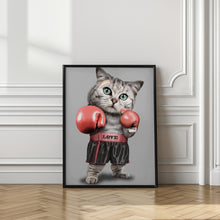 Canvas Art Print boxing cat