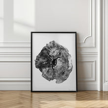 Art Prints of Oak Log