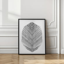 Art Prints of Feather