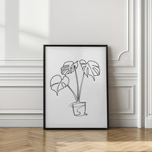 Art Prints of House Plant