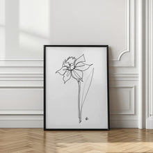 Art Prints of The Daffodil