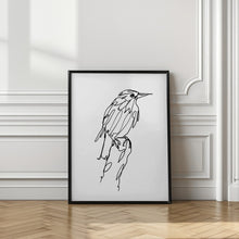 Art Prints of Walking Murmuration