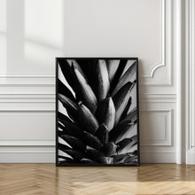 Art Prints of Pine B&w