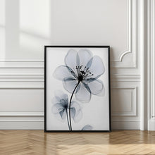 Art Prints of Touch of Grey