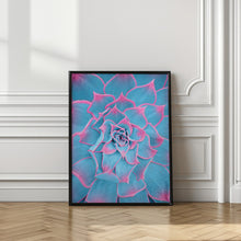 Art Prints of Blue and Pink Succulent