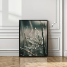 Art Prints of Green Wet Leaf No 1