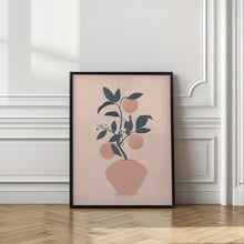 Art Prints of Tangerine Shell