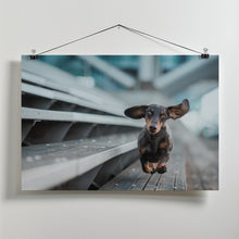 Art Prints of Ein kleiner Hund läuft durch die Welt....