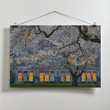 Art Prints of Morning at University of Washington