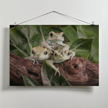 Art Prints of Three's A Crowd