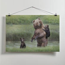 Art Prints of Momma Bear and Her Cubs