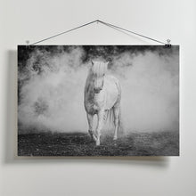 Art Prints of Icelandic pony