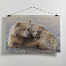 Art Prints of Momma Bear and Cub Aware