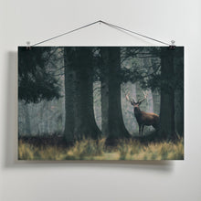 Art Prints of King of the forest