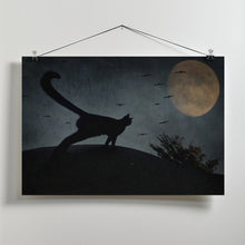 Art Prints of the curious tail of the cat filemon...