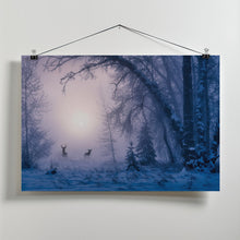 Art Prints of The shadow of deer in the morning fog