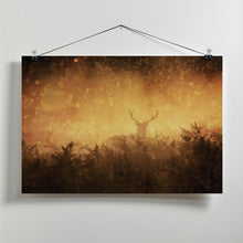 Art Prints of Golden Woods