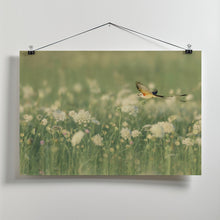 Art Prints of Spring Messager