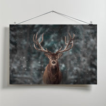 Art Prints of Deer King