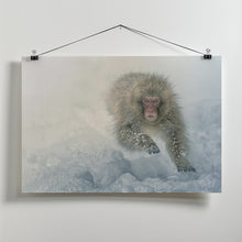 Art Prints of Snow run