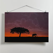 Art Prints of Elephant at sunset