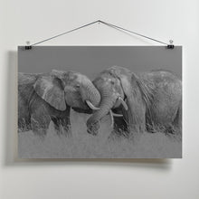 Art Prints of Elephant Flight