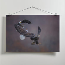 Art Prints of Eagle family