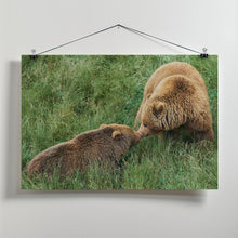 Art Prints of Loving bears