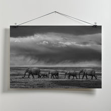 Art Prints of Elephant migration